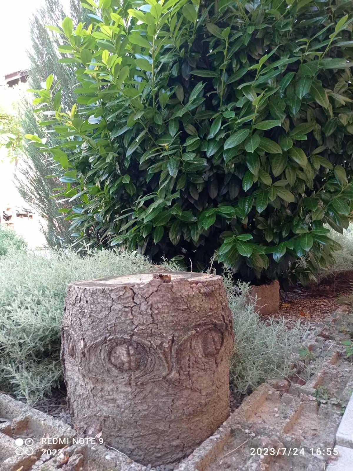 My Holiday 수보티차 외부 사진